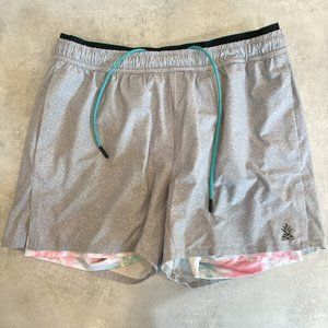 Chubbies Ultimate Training Short Lined 4" (EUC)
